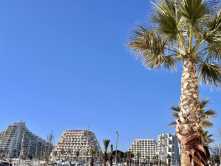 _lv_images__lot_0000004113_10_4096849 _lv_images__lot_0000004113_10_4096849