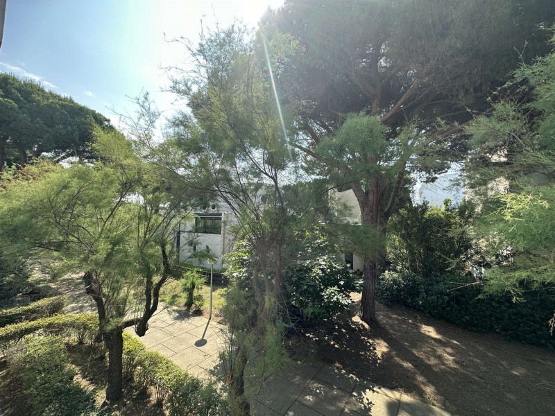 _clients_193428001_photos_135n_3658272