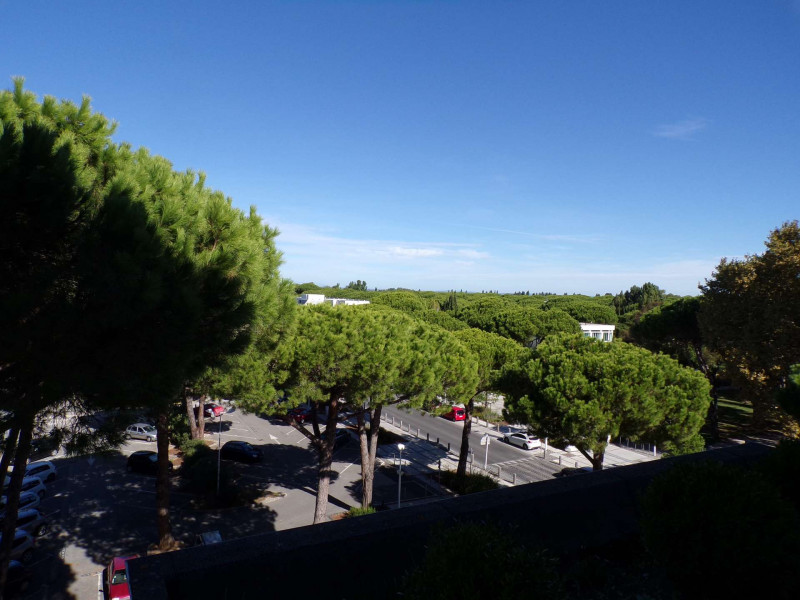 _clients_193428001_photos_15c_3125106 _clients_193428001_photos_15c_3125106