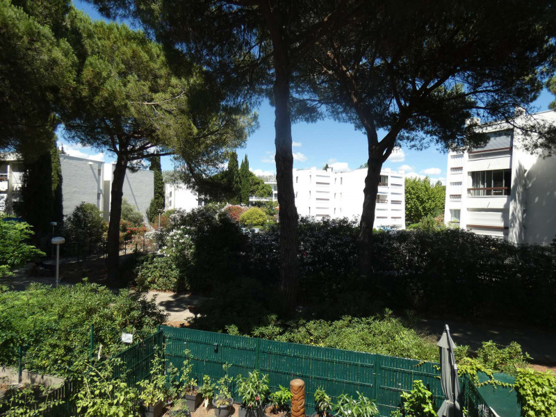 _clients_193428001_photos_204i_3125267 _clients_193428001_photos_204i_3125267