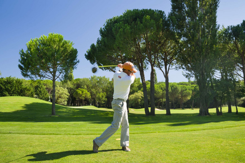 _clients_193428001_photos_251m_3727048