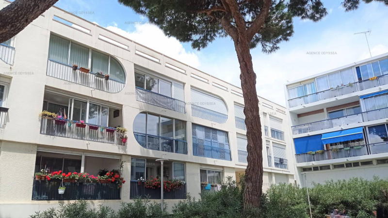 _clients_193428005_photos_186k_3055667 _clients_193428005_photos_186k_3055667