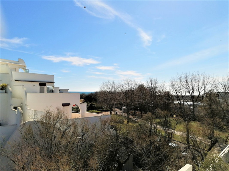 _clients_193428006_photos_37b_3475362