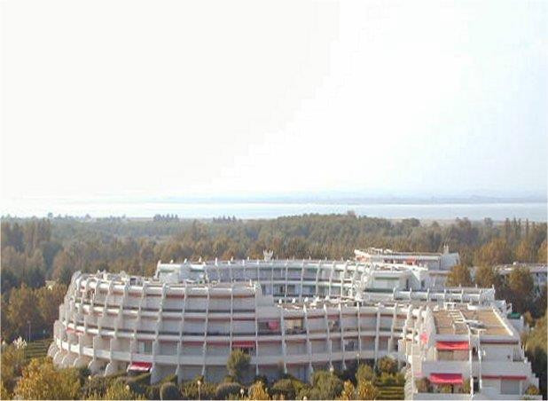 _clients_193428008_photos_163a_3209008 _clients_193428008_photos_163a_3209008