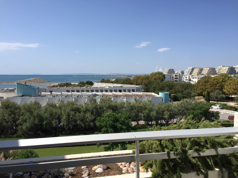 _clients_193428008_photos_239a_3213124 _clients_193428008_photos_239a_3213124