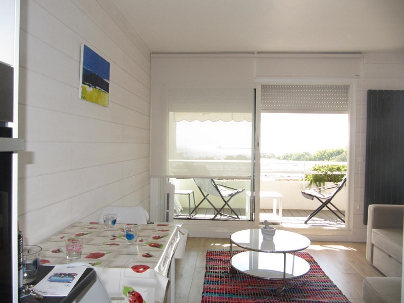 _clients_193428008_photos_239c_3184785 _clients_193428008_photos_239c_3184785