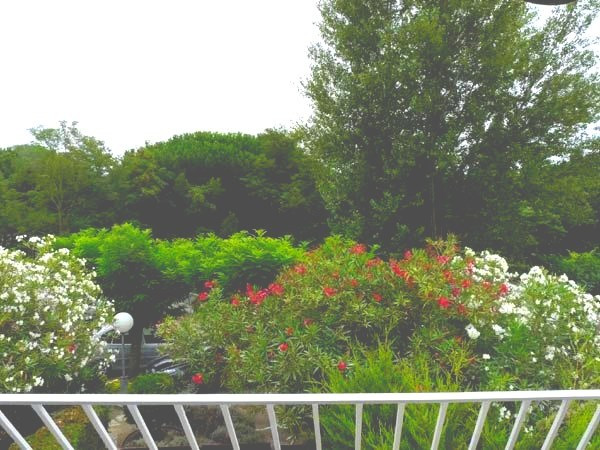 _clients_193428008_photos_241a_3110441 _clients_193428008_photos_241a_3110441