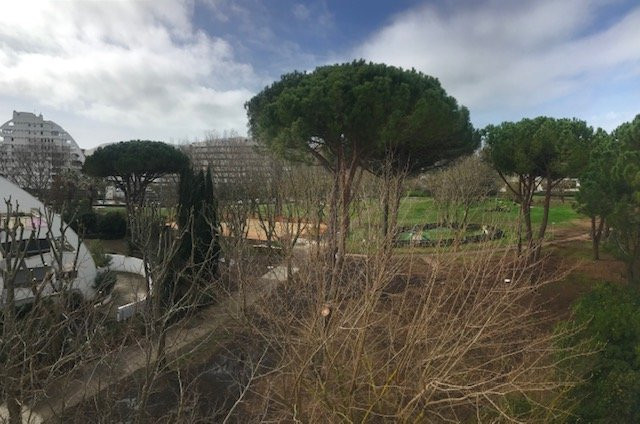 _clients_193428012_photos_161g_3470638 _clients_193428012_photos_161g_3470638