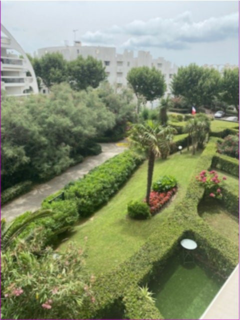 _clients_193428012_photos_168g_3604132