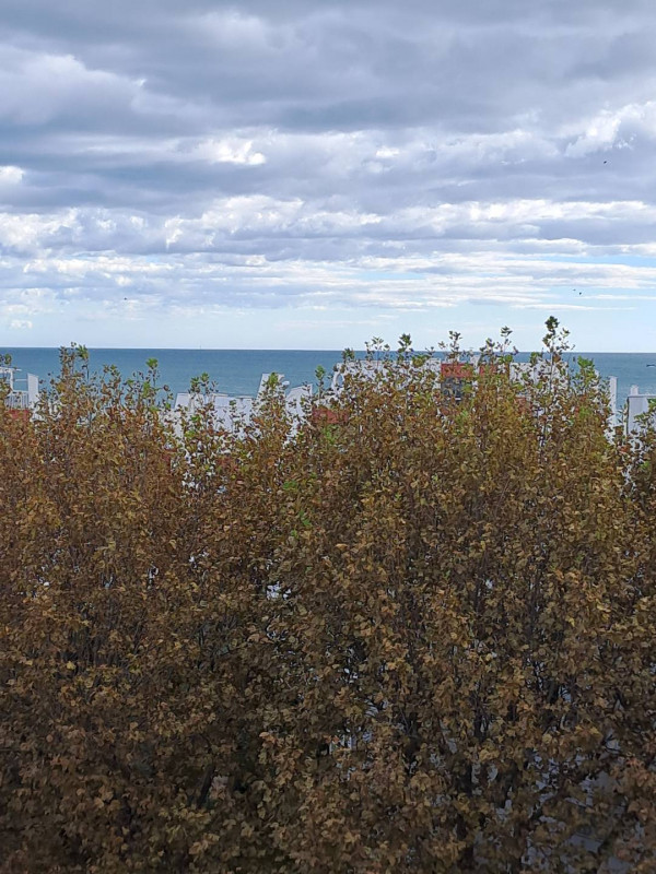 _clients_193428012_photos_228e_3108851 _clients_193428012_photos_228e_3108851