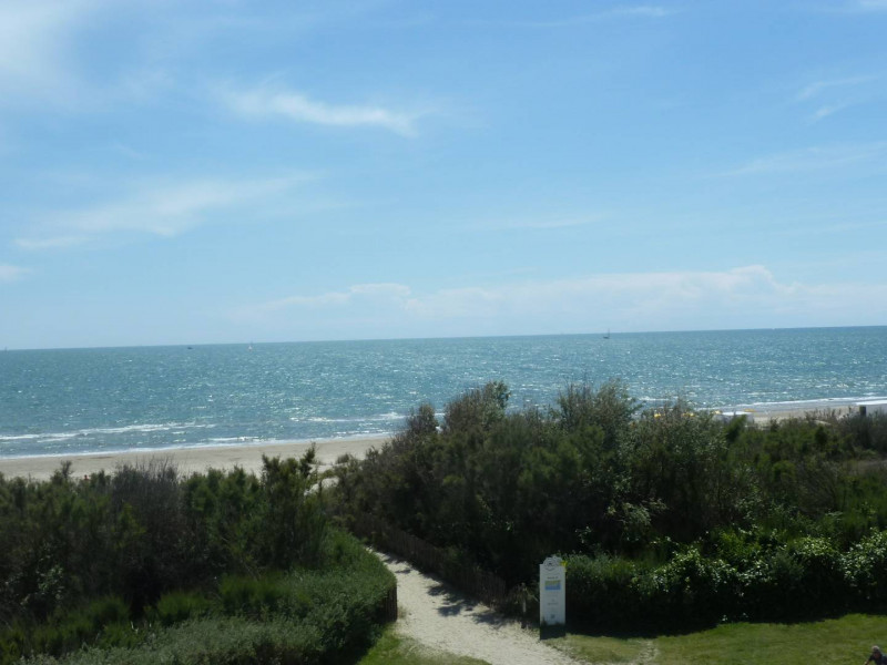 _clients_193428012_photos_3a_3613937 _clients_193428012_photos_3a_3613937