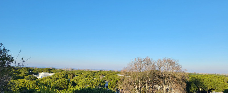 _lv_images__lot_0000004171_04_3162248